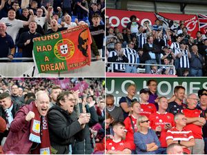 Supporting image for story: Local fans go to the polls in coronavirus survey 