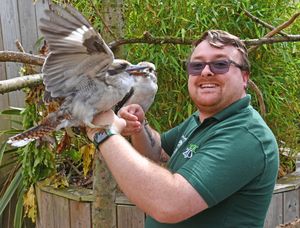 Ryan Jordan with Indi and Banjo.