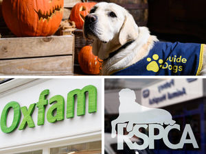 Supporting image for story: Charities facing ‘unprecedented’ volunteer shortfall – report