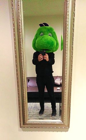 Supporting image for story