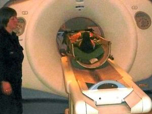 Supporting image for story: Sheep breeding for us is now science not art