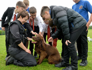 Schoolchildren are introduced to search dog PD Finn