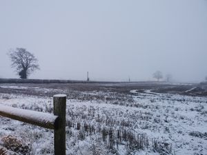 Snow in Bishops Wood, in between Codsall Wood and Tong. Pic: Kirsten Rawlins