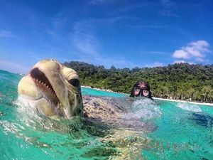 Supporting image for story: Telford's Lucy captures stunning images from Asia and Australia