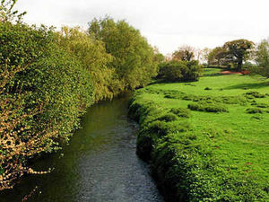 Supporting image for story: Farming Talk: Deadline date for grant aid applications