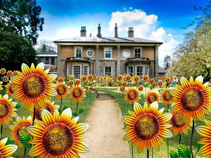 Supporting image for story: 'Give hospices a Fair Deal now - before it is too late' - Express & Star Comment