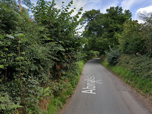 Supporting image for story: Appeal after sheep found dead in Lichfield