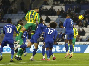 Supporting image for story: Why West Brom job is still attractive despite dreadful season - and why it is not all doom and gloom for Albion fans