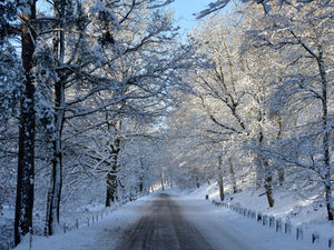 Supporting image for story: Snow could fall in Black Country and Staffordshire as temperatures drop
