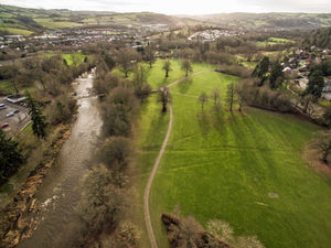 Supporting image for story: Dog walkers not banned from Newtown's green spaces, despite rumour
