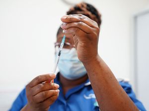 Supporting image for story: Covid-19 immunity likely to lower risk of another SARS pandemic – study