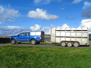 Supporting image for story: No room for a U-turn delivering stock to farms