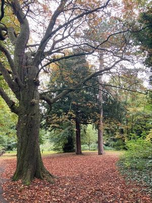 FBMD01000a8d0100004f2800007c8a00001696000065a400001e76010091430200194a0200945602002d660200ea840300