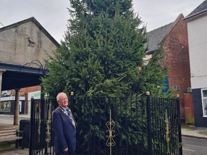 Supporting image for story: Huge Market Drayton Christmas tree erected ahead of popular Festival of Lights this weekend