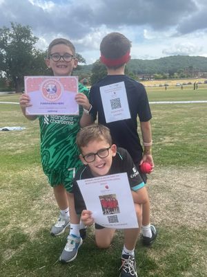 Sponsorship collecting