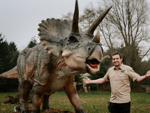 Supporting image for story: 'Hoo-rassic' future for county visitor attraction