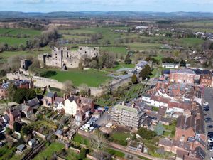 Supporting image for story: Show some love for Ludlow: The town needs your help!