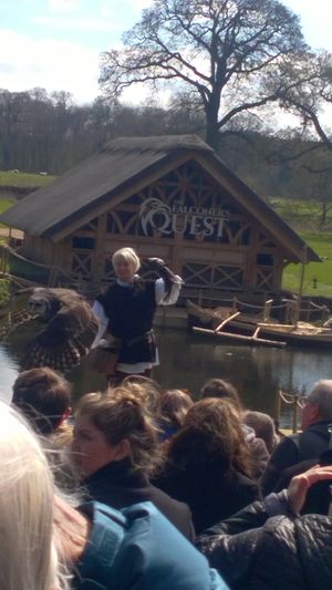 The Falconer's Quest kept children and adults entertained during the stunning displays