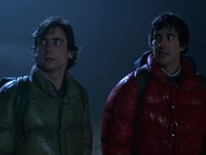 Supporting image for story: Dudley Zoo set to screen horror-cult classic in open-air event