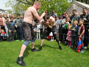 Supporting image for story: Fun-packed festivals are a real knockout