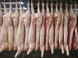 Supporting image for story: Fall in number of British abattoirs risks ‘seriously jeopardising’ food security