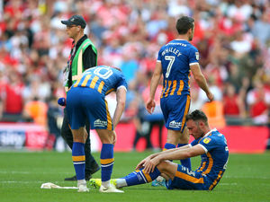 Supporting image for story: Victory over Shrewsbury Town a bitter-sweet moment for Paul Warne
