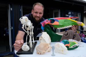 On hand to develop the next generation of veterinarians and vet nurses was Ian Freeman, vet technical specialist at Harper Adams University