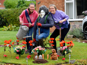 Supporting image for story: Straw characters line the streets of Coven in return of popular scarecrow festival