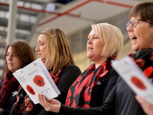 Supporting image for story: RAF Museum to host remembrance service