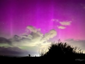 Supporting image for story: Spectacular photos capture Northern Lights glow seen over Shropshire