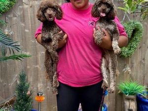 Supporting image for story: I'm a dog trainer, and this is the surprisingly tricky breed that Wolverhampton residents should really research carefully before adopting