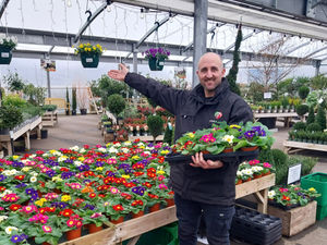General manager Tom Pountney in the open plan polytunnel at Love Plants.