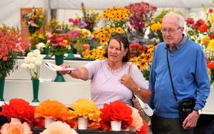 Begonias on display