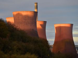 Supporting image for story: Ironbridge Power Station ensured warm welcome for newcomer
