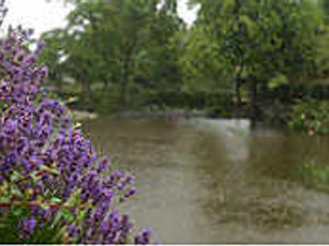 Supporting image for story: Flooding hits the Midlands