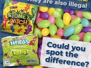 Supporting image for story: Police put parents in Shropshire on alert over the dangers of cannabis in sweets 