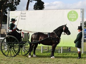 Supporting image for story: Equine Judges Announced for the 2025 Royal Welsh Show