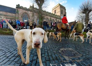 The Albrighton Hunt parades through Newport