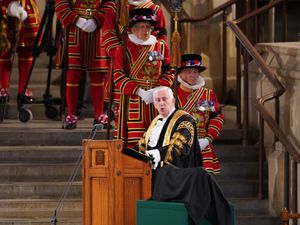 Supporting image for story: King appears to smile after Commons Speaker mentions Glorious Revolution