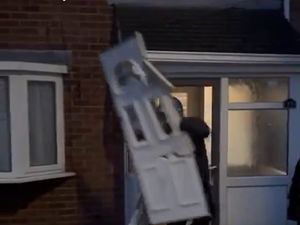 Supporting image for story: Watch: Police raid Wellington house where they find dozens of cannabis plants