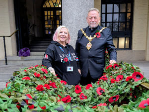 Supporting image for story: Poppy cascade set to be on display at Dudley Council House