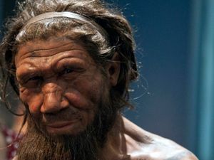 Supporting image for story: Climate change may have driven early human species to extinction – study