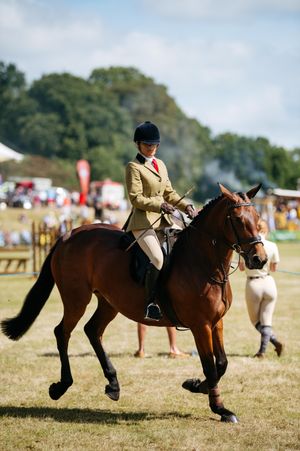 Newport Show at Chetwynd Deer Park