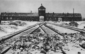 The gate tower, ramp and railway line at Auschwitz-Birkenau