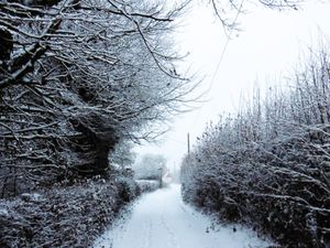 Supporting image for story: Weather update: More rain and cold temperatures on the way - and some snow