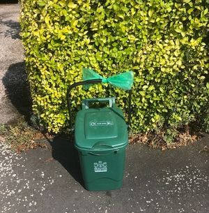 A Newcastle-under-Lyme Borough Council food waste caddy. Stoke-on-Trent City Council is introducing a similar system to comply with new government rules. Free for all LDRS partners to use. 