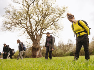 Supporting image for story: Shropshire enthusiasts continue meteorite search despite 'find' not being from fireball