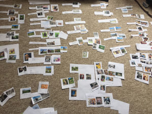 Some of the competition entries.