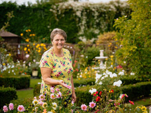 Supporting image for story: Winners of Virtual Ludlow in Bloom announced