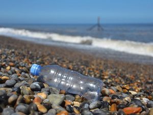 Supporting image for story: #OnePlasticFreeDay: Social media users give up plastic for environment campaign